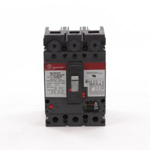Interruptor termomagnético, 150 A, 3P, 600 V, tipo Spectra RMS